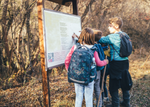 kids hiking