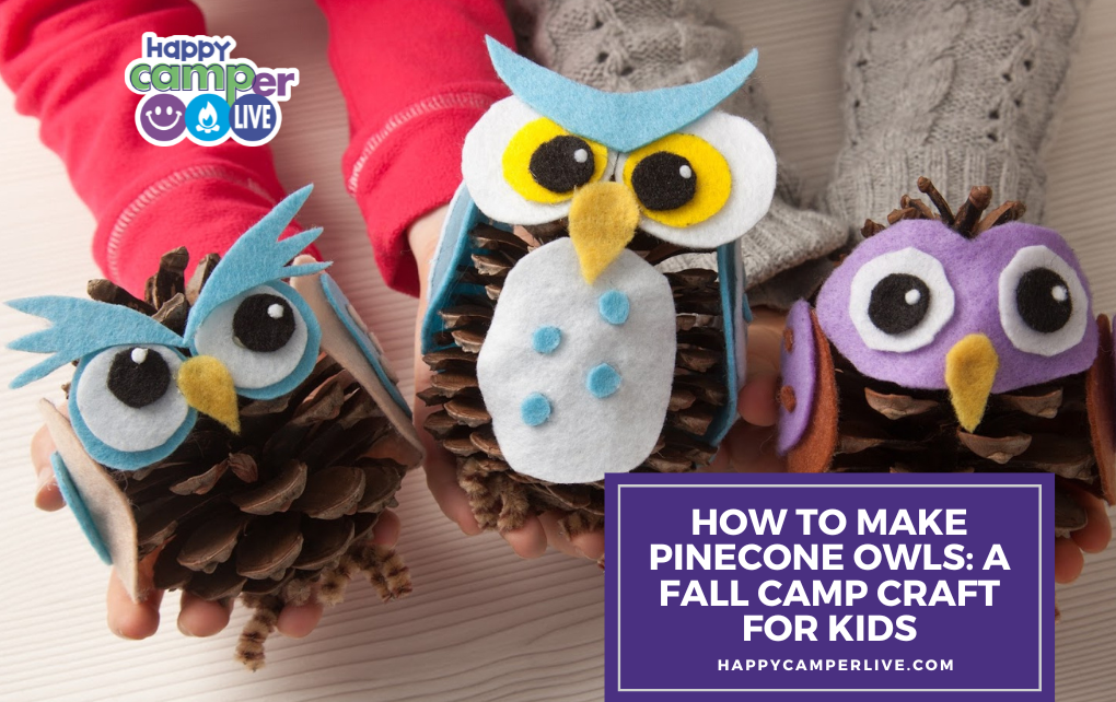 owl pinecones