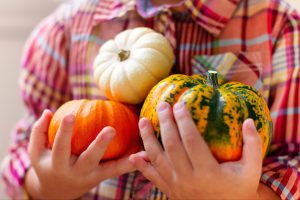a child holds pumpkins in hands