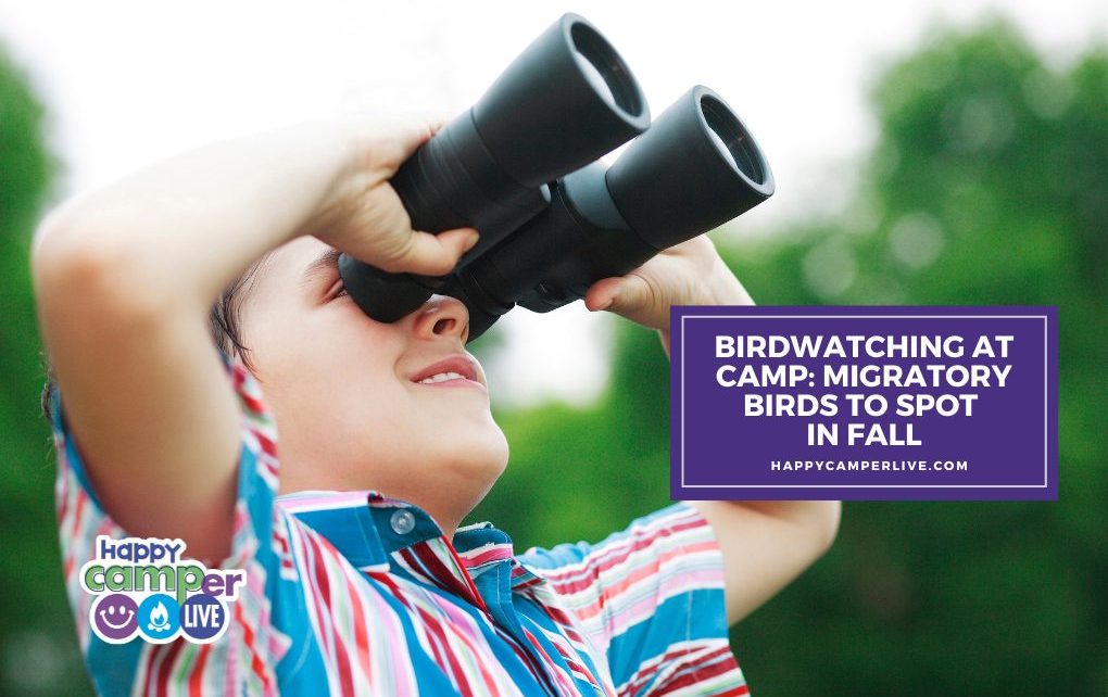 A child looks through binoculars