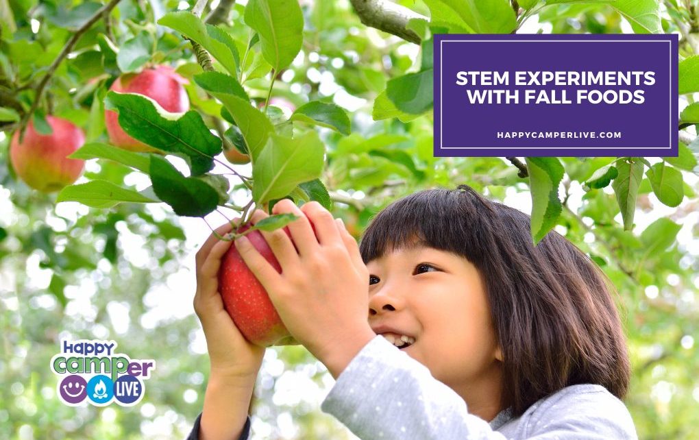 a child holds an apple